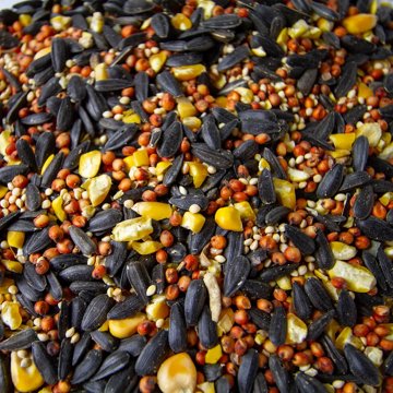 Thomas Moore Feed Texas Wild Bird Seed, 40 lb
