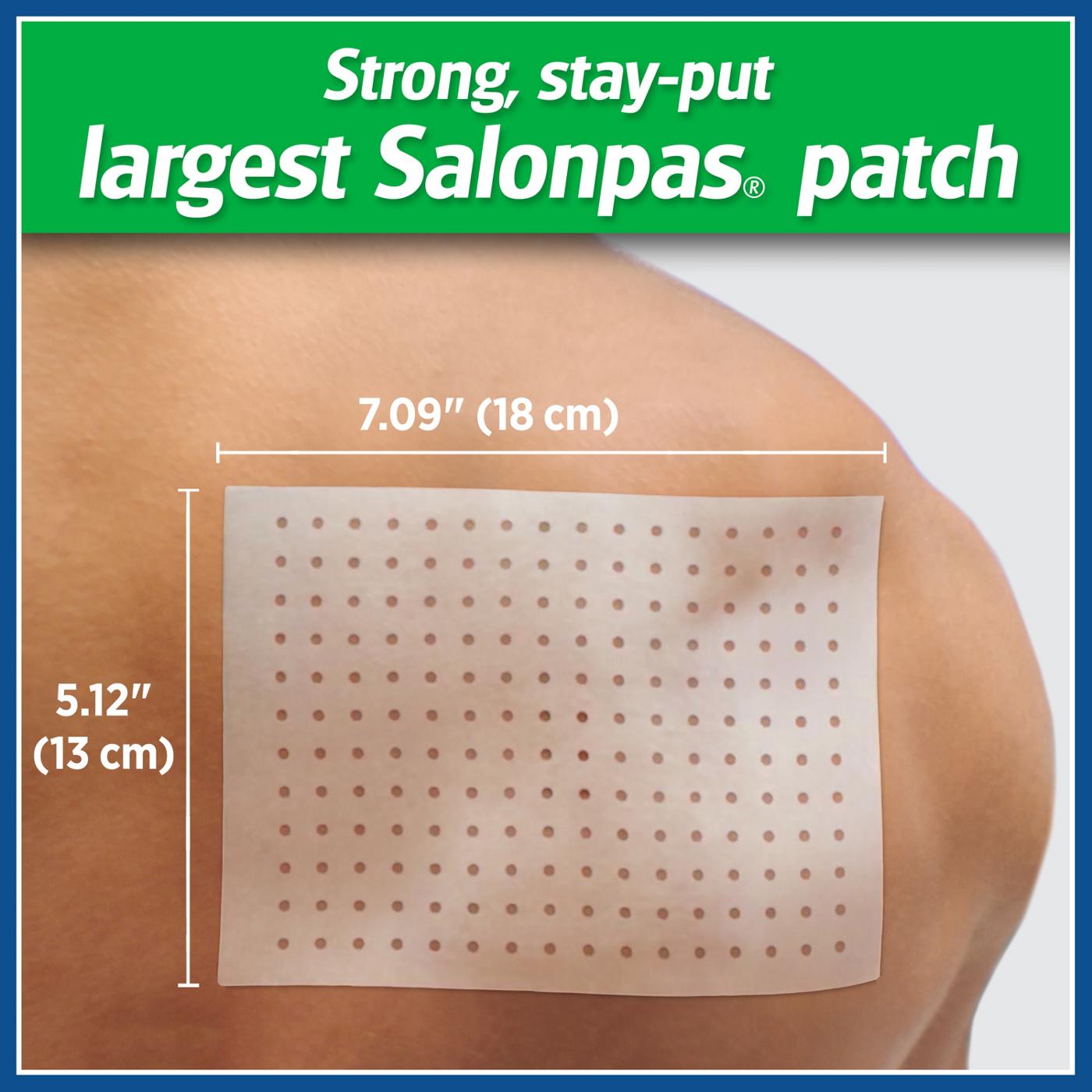 Salonpas Hot Capsicum Patch; image 6 of 6