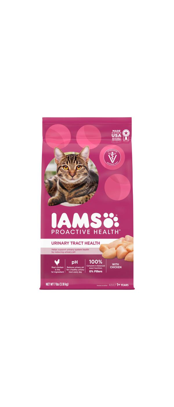 Iams proactive health 2024 dry kitten food kitten