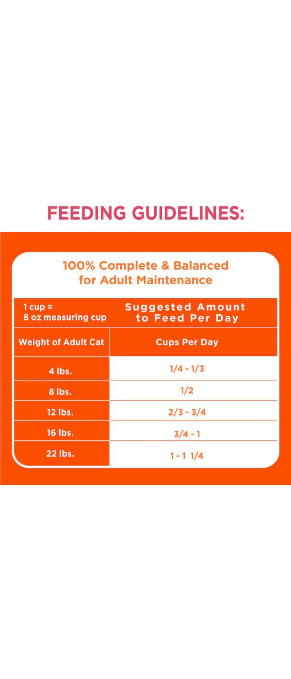 IAMS ProActive Health Salmon & Tuna Adult Dry Cat Food; image 2 of 5