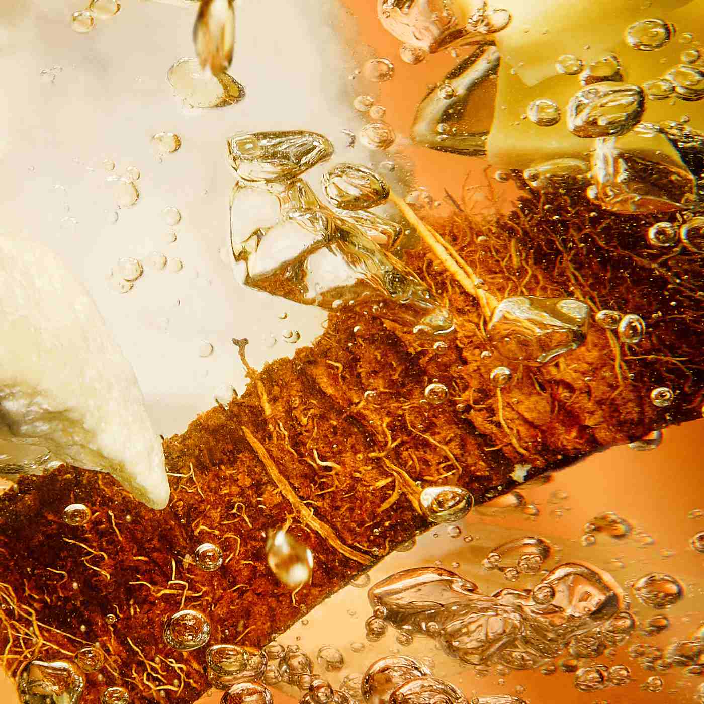 Garnier Whole Blends Smoothing Conditioner, Coconut Oil and Cocoa Butter; image 5 of 7