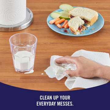 Sparkle Tear-A-Square Paper Towels, 2 Double Rolls