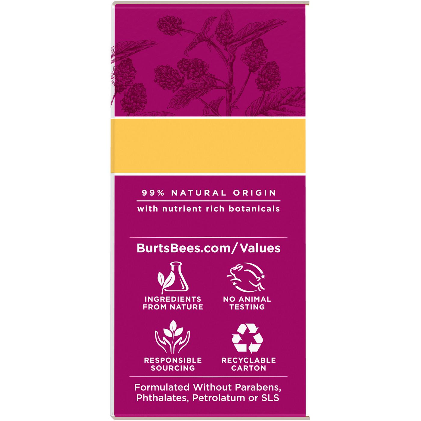 Burt's Bees Renewal Firming Eye Cream; image 15 of 15