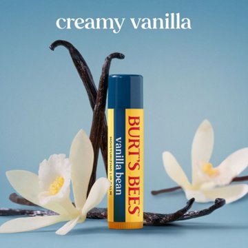 Burt's Bees Moisturizing Lip Balm - Vanilla Bean, 0.15 oz