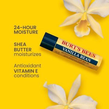Burt's Bees Moisturizing Lip Balm - Vanilla Bean