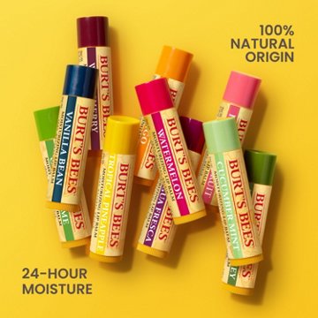 Burt's Bees Moisturizing Lip Balm - Vanilla Bean