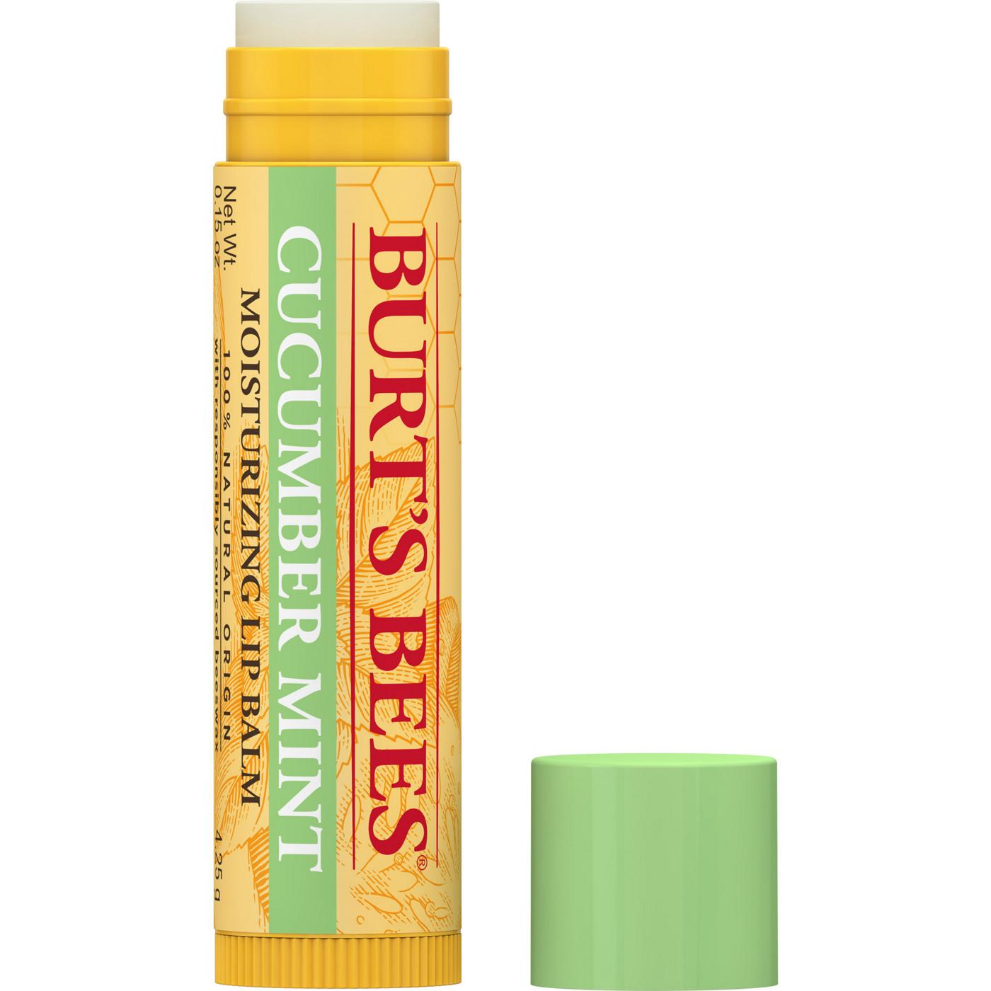 Burt's Bees Cucumber Mint Moisturizing Lip Balm ; image 11 of 12