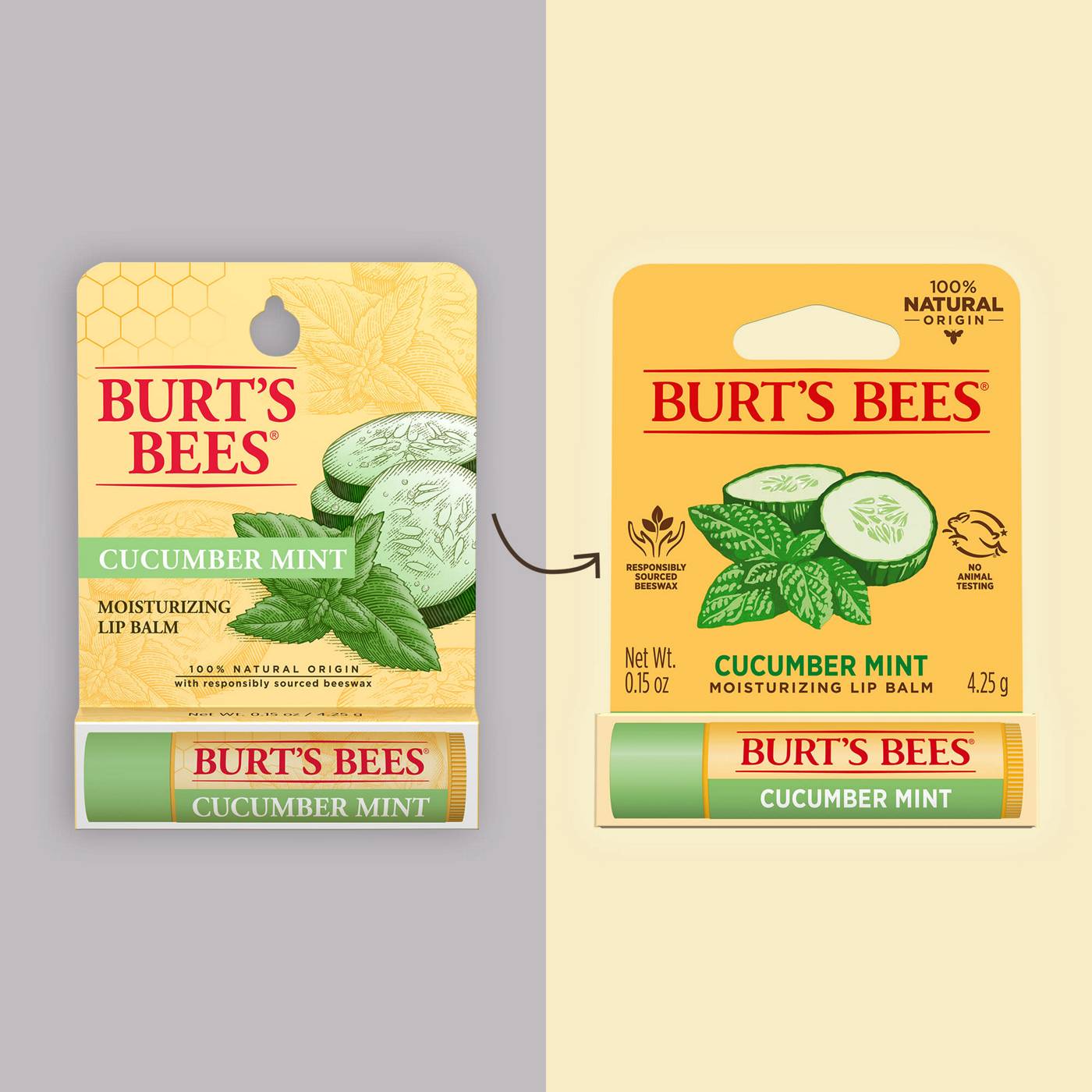 Burt's Bees Cucumber Mint Moisturizing Lip Balm ; image 5 of 12