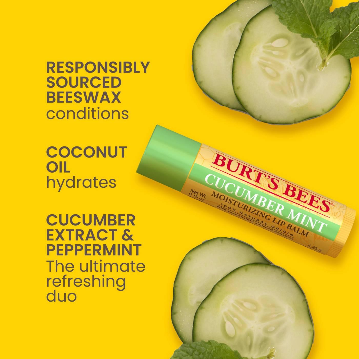 Burt's Bees Cucumber Mint Moisturizing Lip Balm ; image 9 of 12