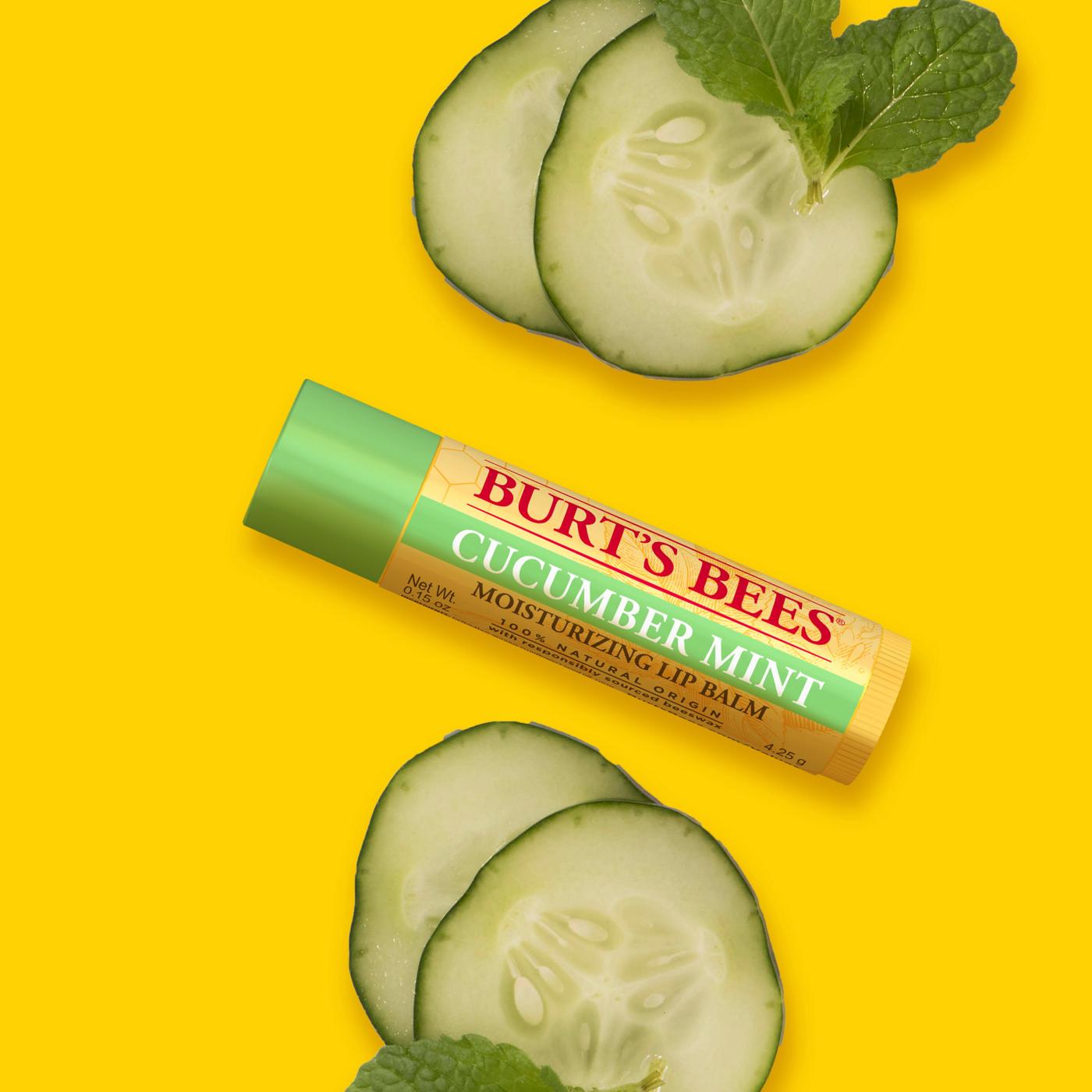 Burt's Bees Cucumber Mint Moisturizing Lip Balm ; image 10 of 12