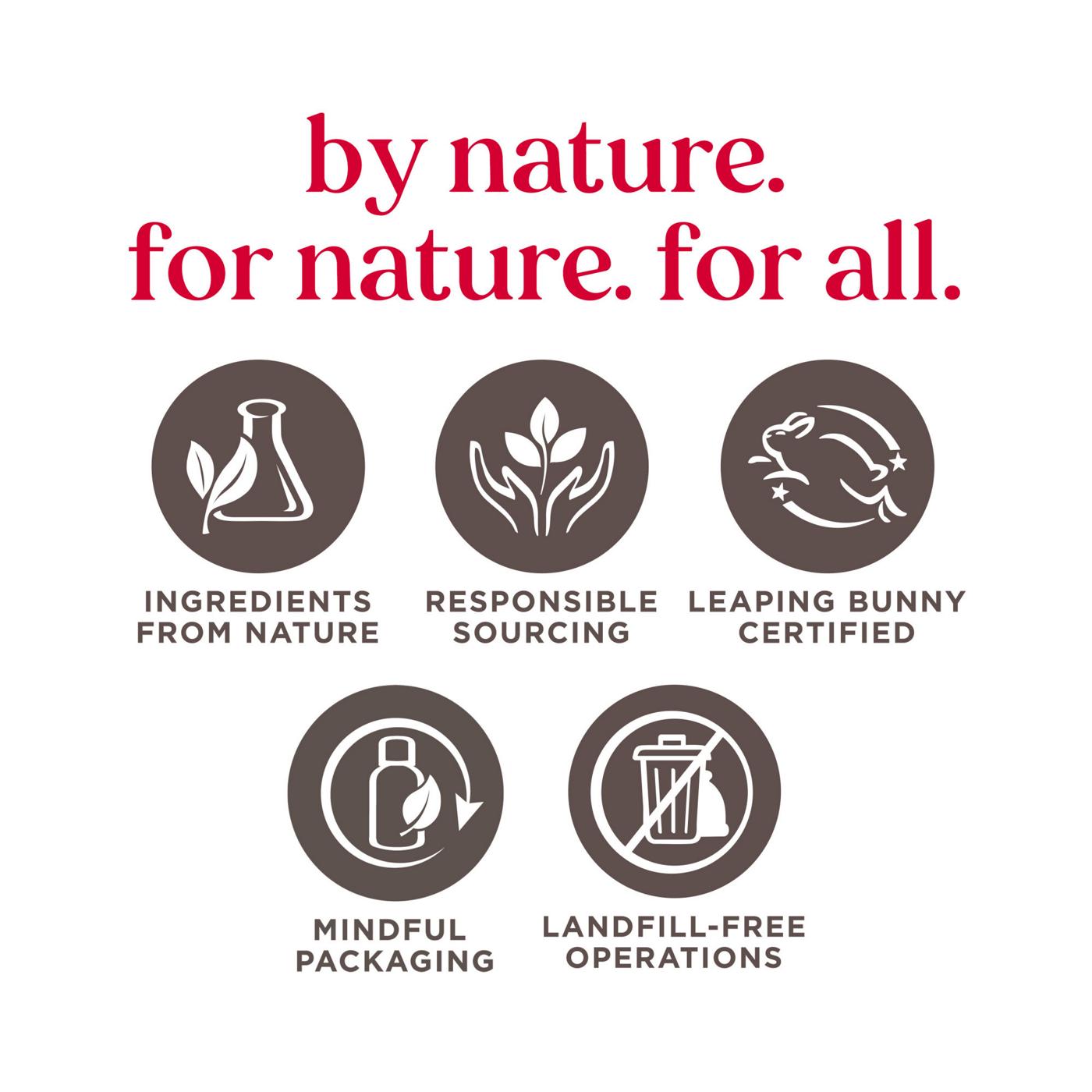 Burt's Bees Micellar Facial Towelettes with Rose Water; image 2 of 13