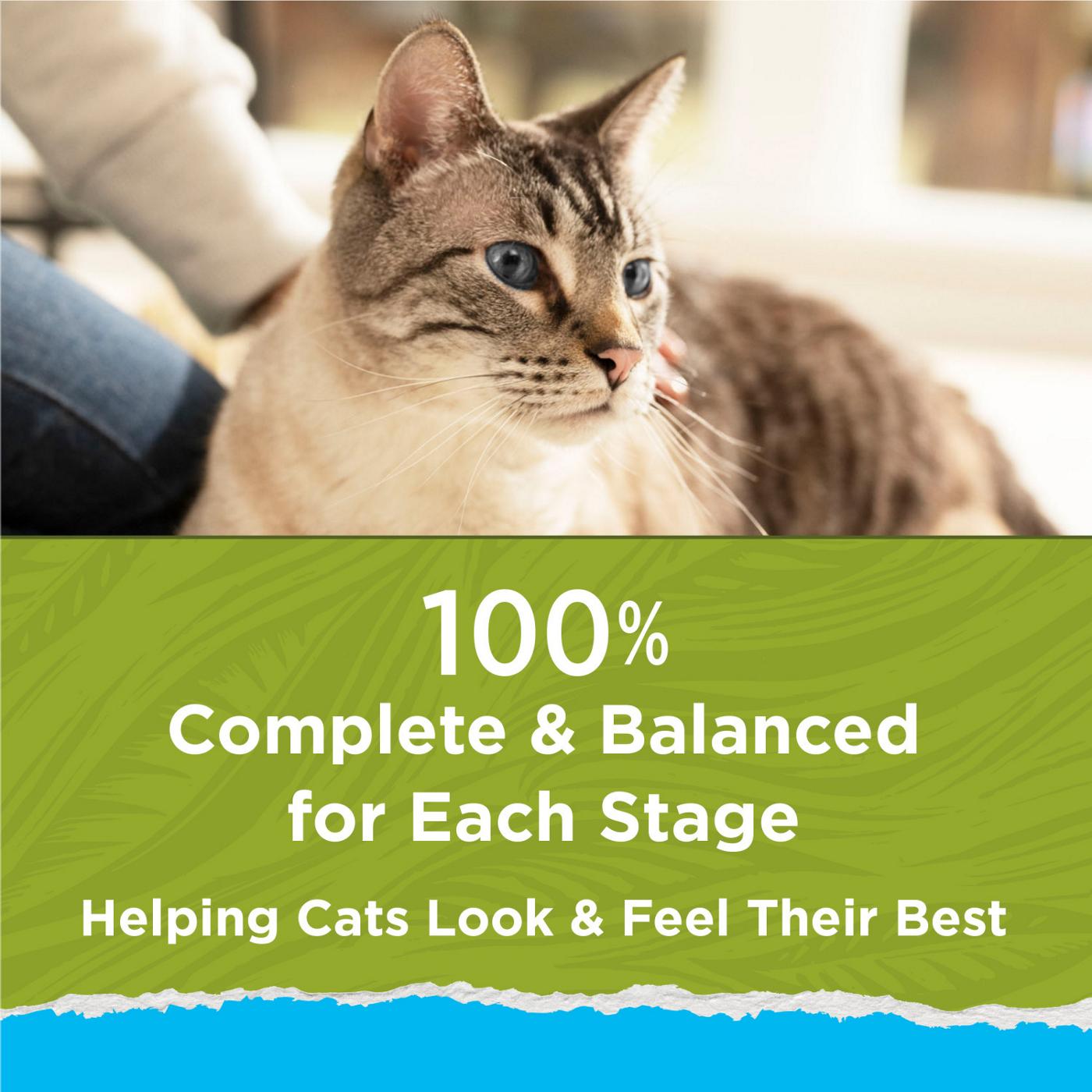 Cat Chow Purina Hairball Healthy Weight Indoor Natural Dry Cat Food; image 4 of 8