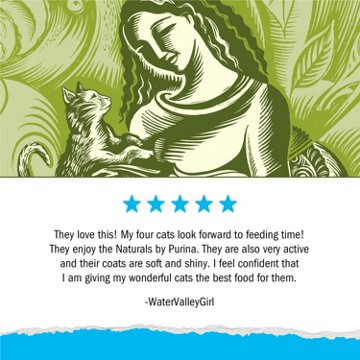 Cat Chow Purina Hairball Healthy Weight Indoor Natural Dry Cat Food