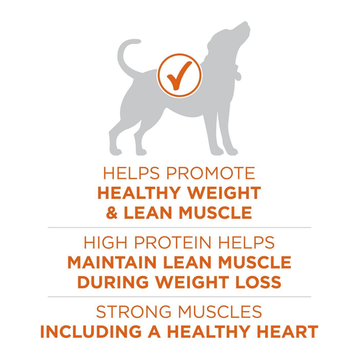 Purina ONE Purina ONE Plus Healthy Weight High-Protein Dog Food Dry Formula; image 5 of 6