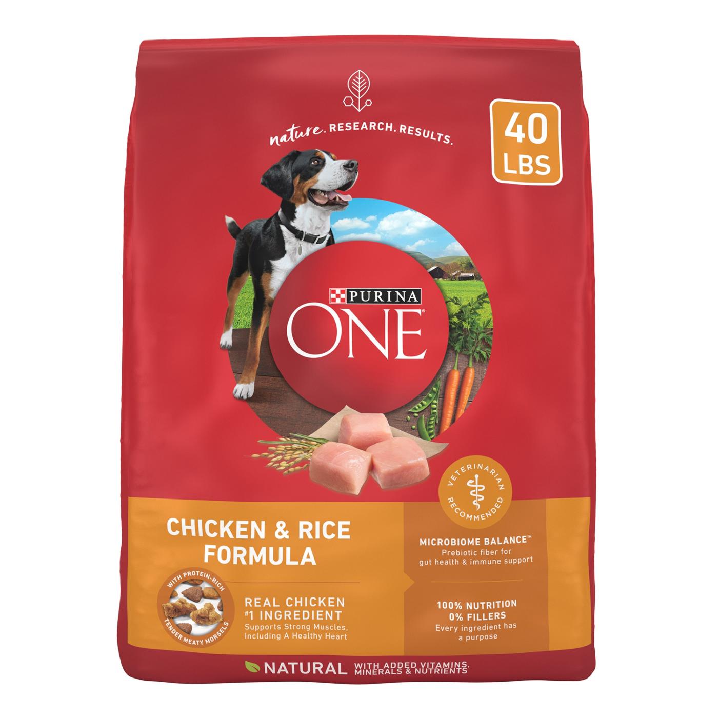 Purina ONE Dry Dog Food - Chicken and Rice Formula; image 1 of 7