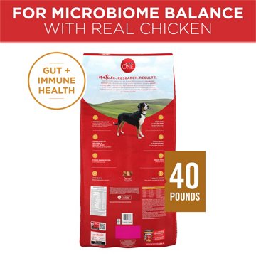 Purina ONE Dry Dog Food - Chicken and Rice Formula