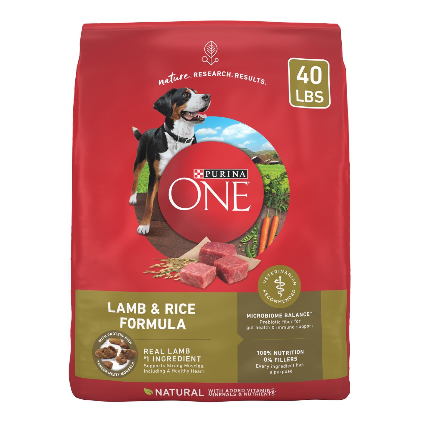 Purina ONE Purina ONE Dry Dog Food  Lamb and Rice Formula; image 1 of 7