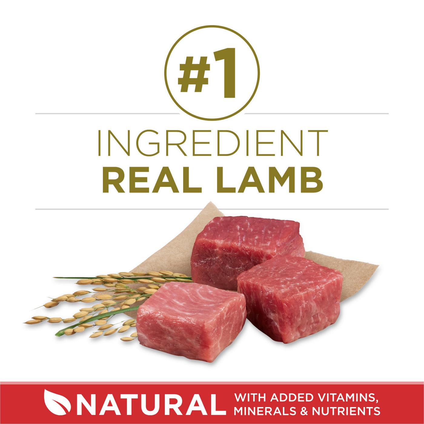 Purina ONE Dry Dog Food - Lamb and Rice Formula; image 2 of 9