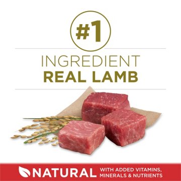 Purina ONE Dry Dog Food - Lamb and Rice Formula, 40 lb