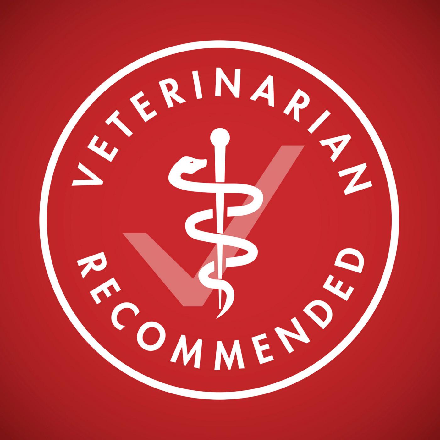 Purina ONE Dry Dog Food - Lamb and Rice Formula; image 6 of 9