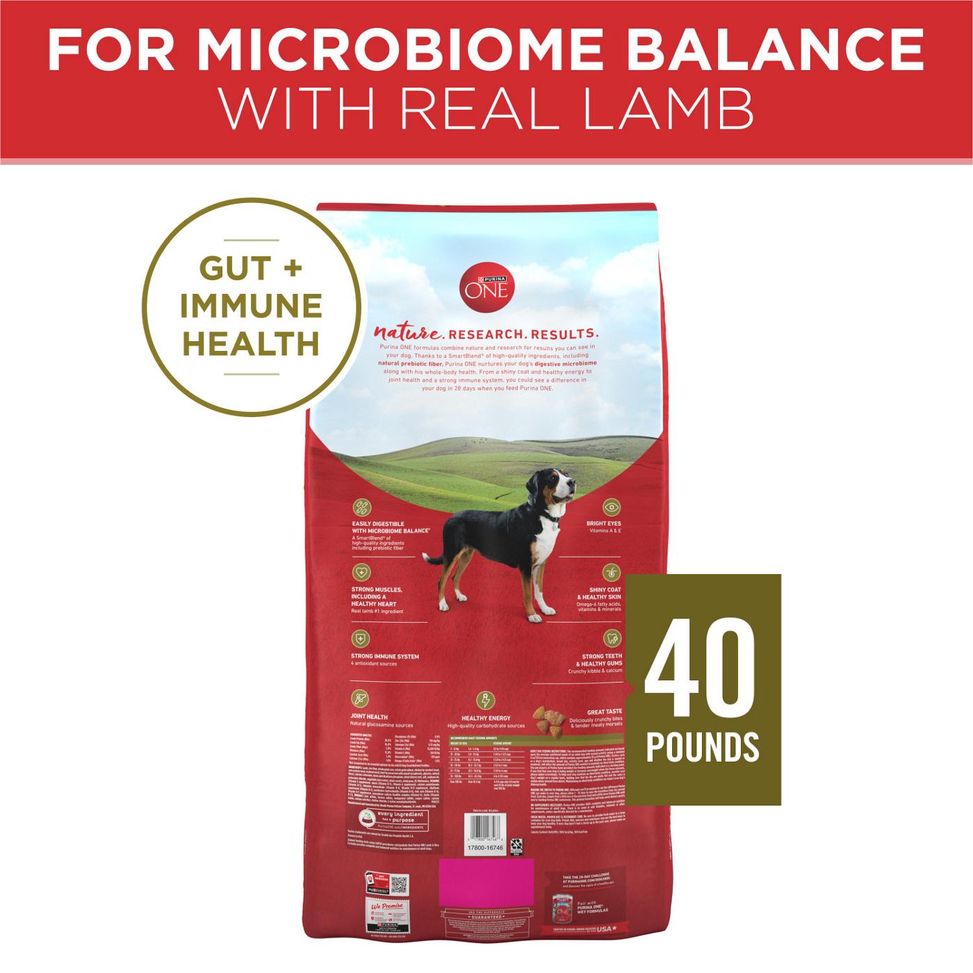 Purina ONE Dry Dog Food - Lamb and Rice Formula; image 9 of 9