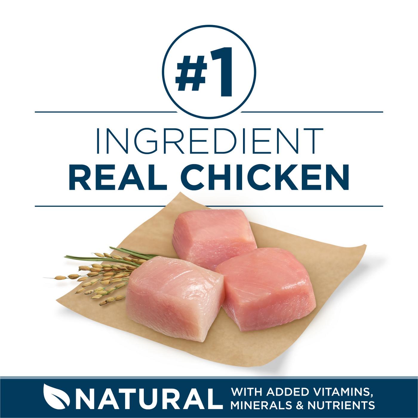 Purina ONE Plus Large Breed Adult Dog Food Dry Formula; image 2 of 2