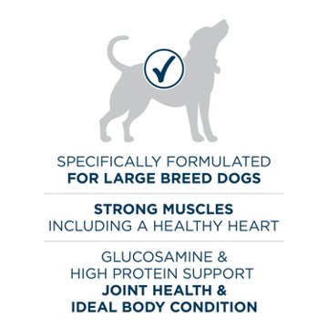 Purina ONE Plus Large Breed Adult Dog Food Dry Formula