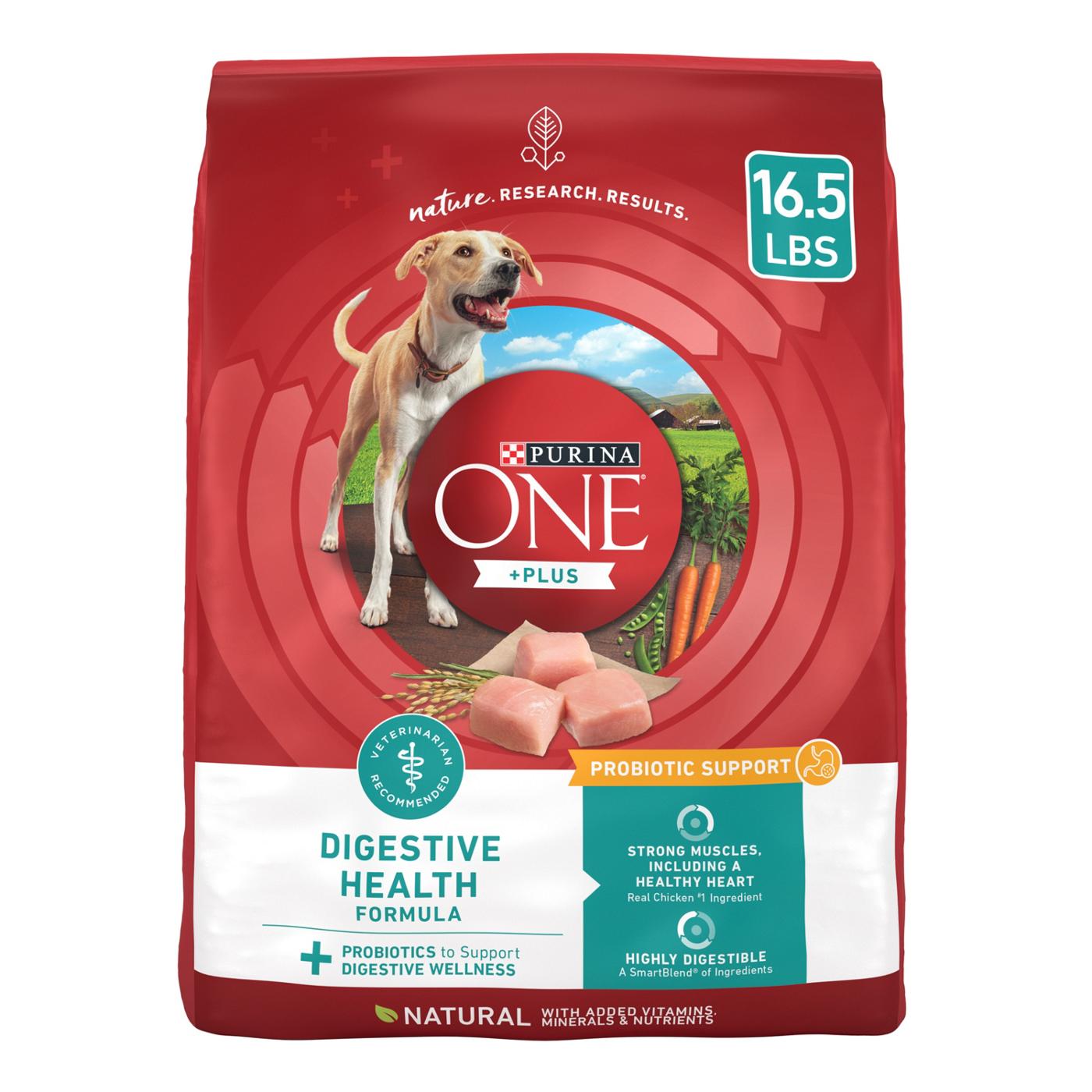 Purina ONE Plus Digestive Health Formula Dry Dog Food Natural; image 1 of 7