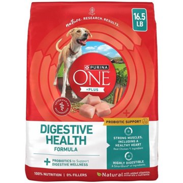 Purina ONE Plus Digestive Health Formula Dry Dog Food Natural