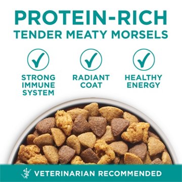 Purina ONE Plus Digestive Health Formula Dry Dog Food Natural
