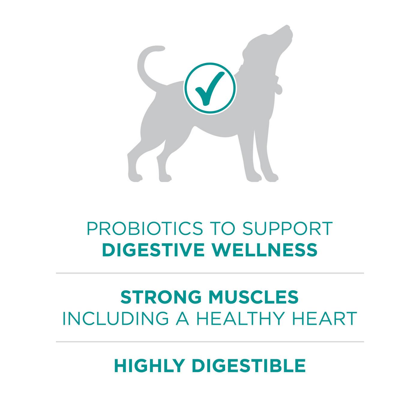 Purina ONE Plus Digestive Health Formula Dry Dog Food Natural; image 6 of 7