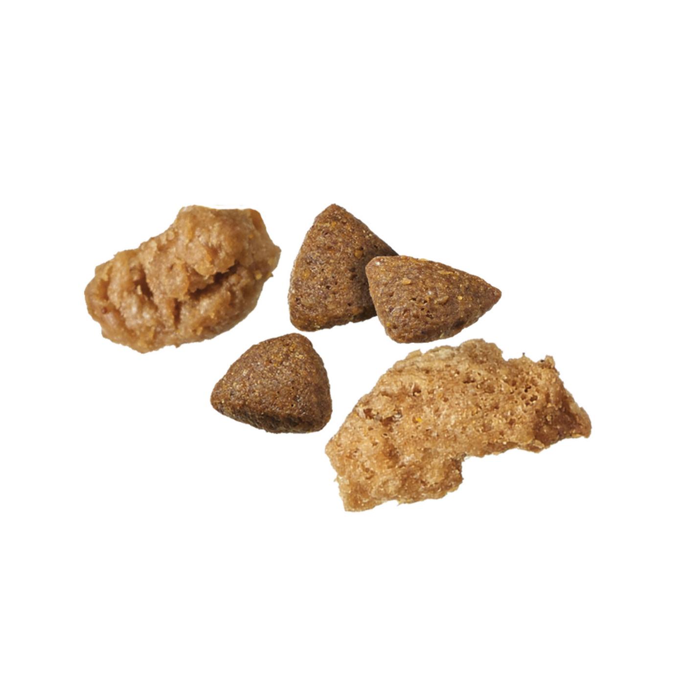 Purina ONE True Instinct High Protein Puppy Food Formula Natural - Real Salmon and Tuna; image 10 of 11