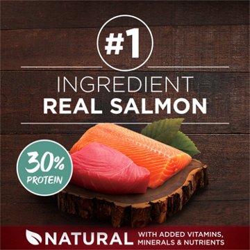 Purina ONE True Instinct High Protein Dog Food Formula Natural - Real Salmon and Tuna