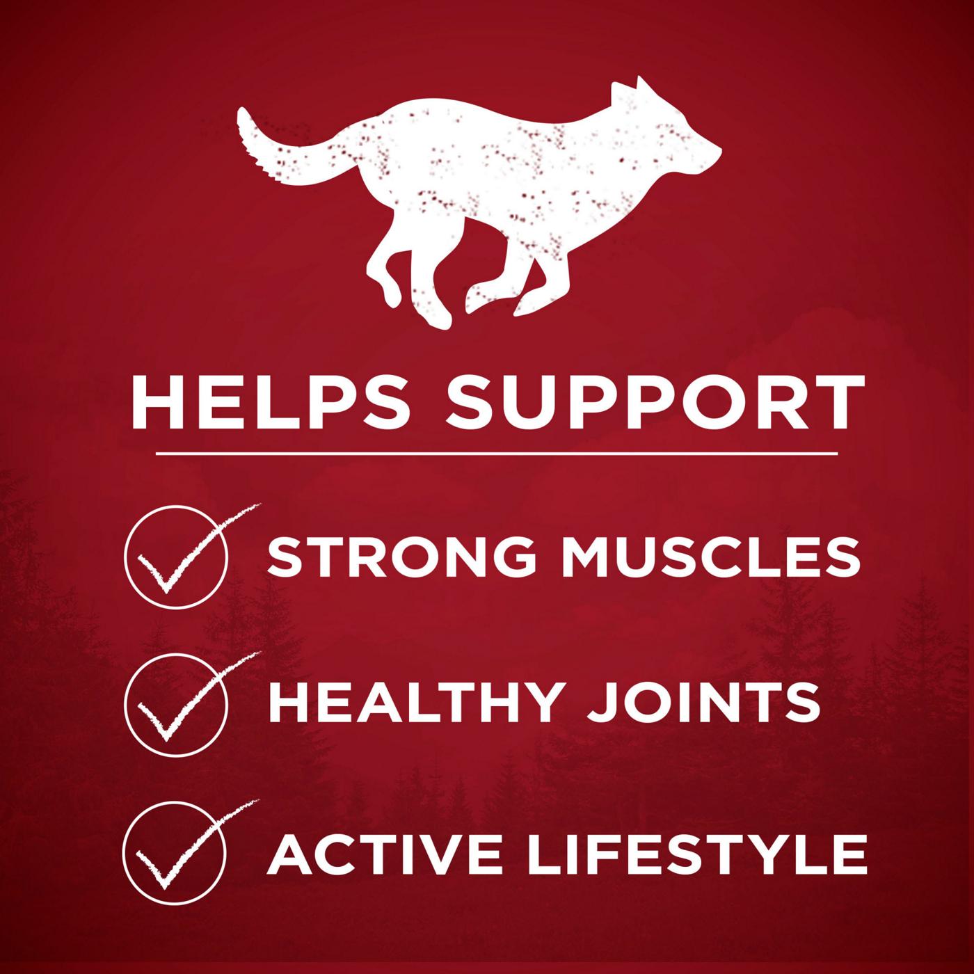 Purina ONE True Instinct High Protein Puppy Food Formula Natural - Real Salmon and Tuna; image 5 of 11