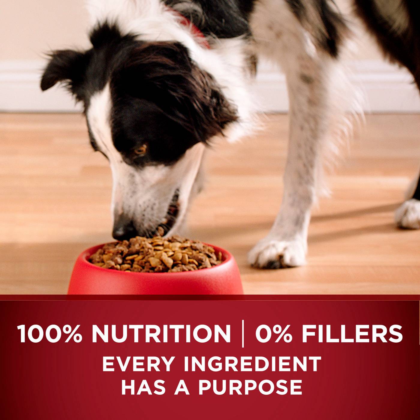 Purina ONE True Instinct High Protein Puppy Food Formula Natural - Real Salmon and Tuna; image 7 of 11