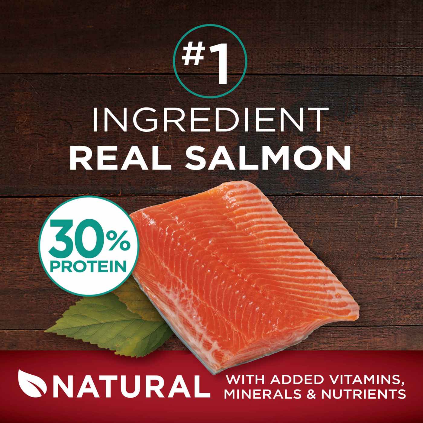 Purina One Smart Blend True Instinct Salmon &Tuna Dry Dog Food; image 11 of 11