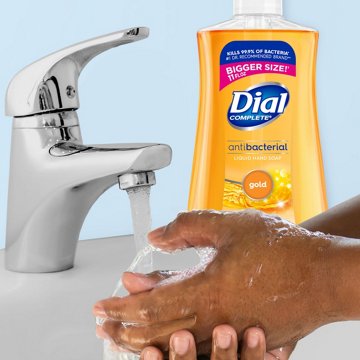 Dial Antibacterial Liquid Hand Soap - Gold, 11 oz