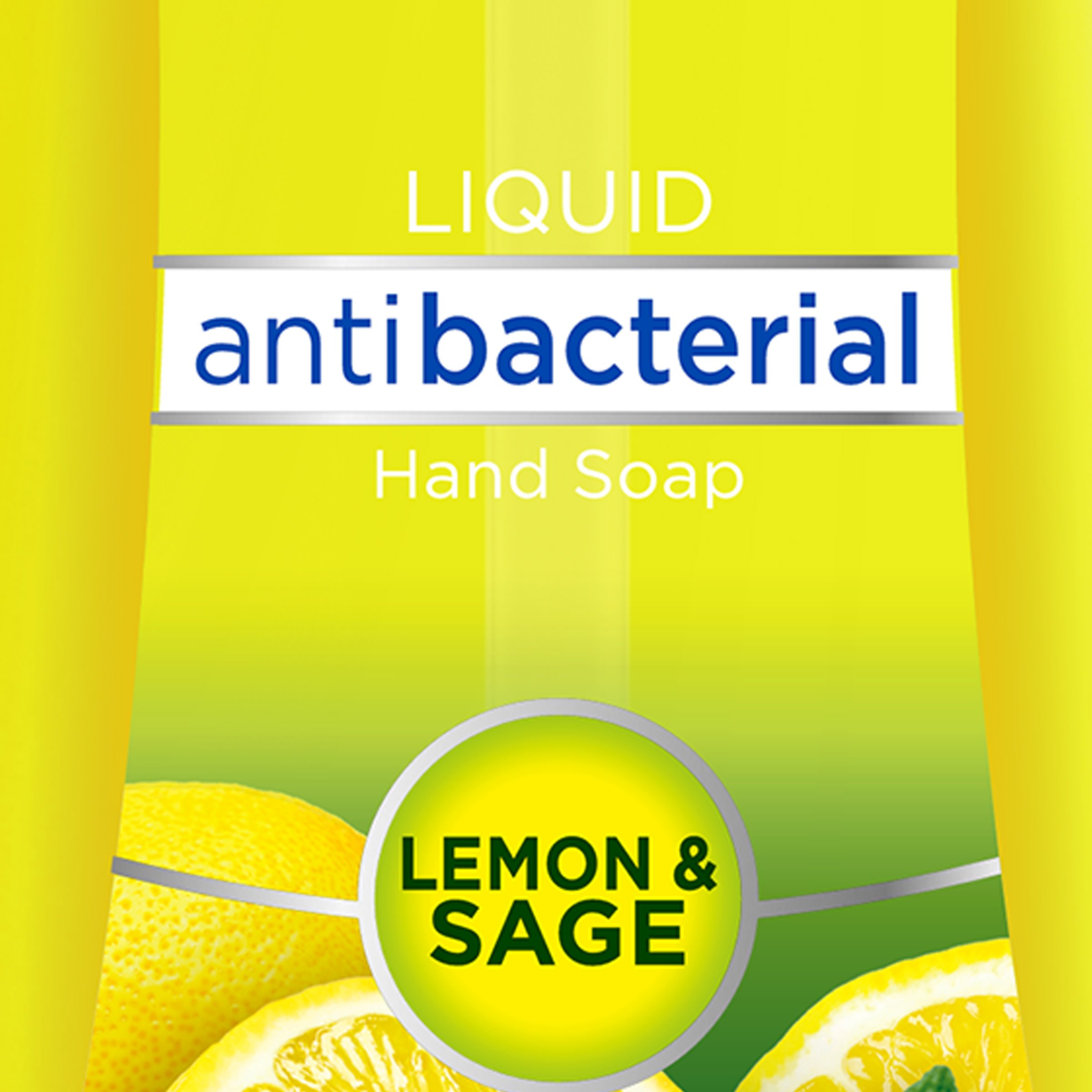 Dial antibacterial hand discount soap lemon and sage