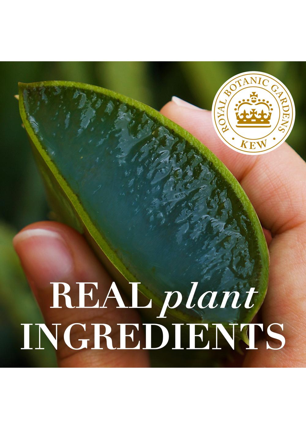 Herbal Essences bio:renew Mango & Aloe Curl Defining Cream; image 4 of 10