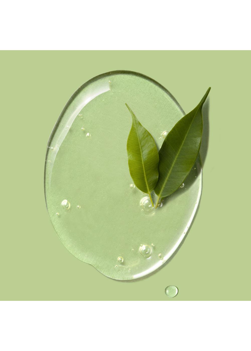 Herbal Essences Clarifying  Tea Tree Shampoo; image 7 of 10