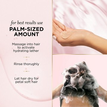 Pantene Nutrient Blends Miracle Moisture Boost Rose Water Shampoo