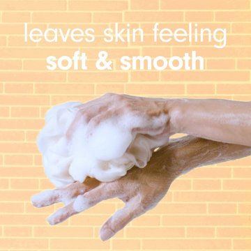 Softsoap Moisturizing Body Wash - Pomegranate & Mango Spritz, 20 oz