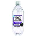 Hal's New York Original Seltzer Water, 20 oz | Central
