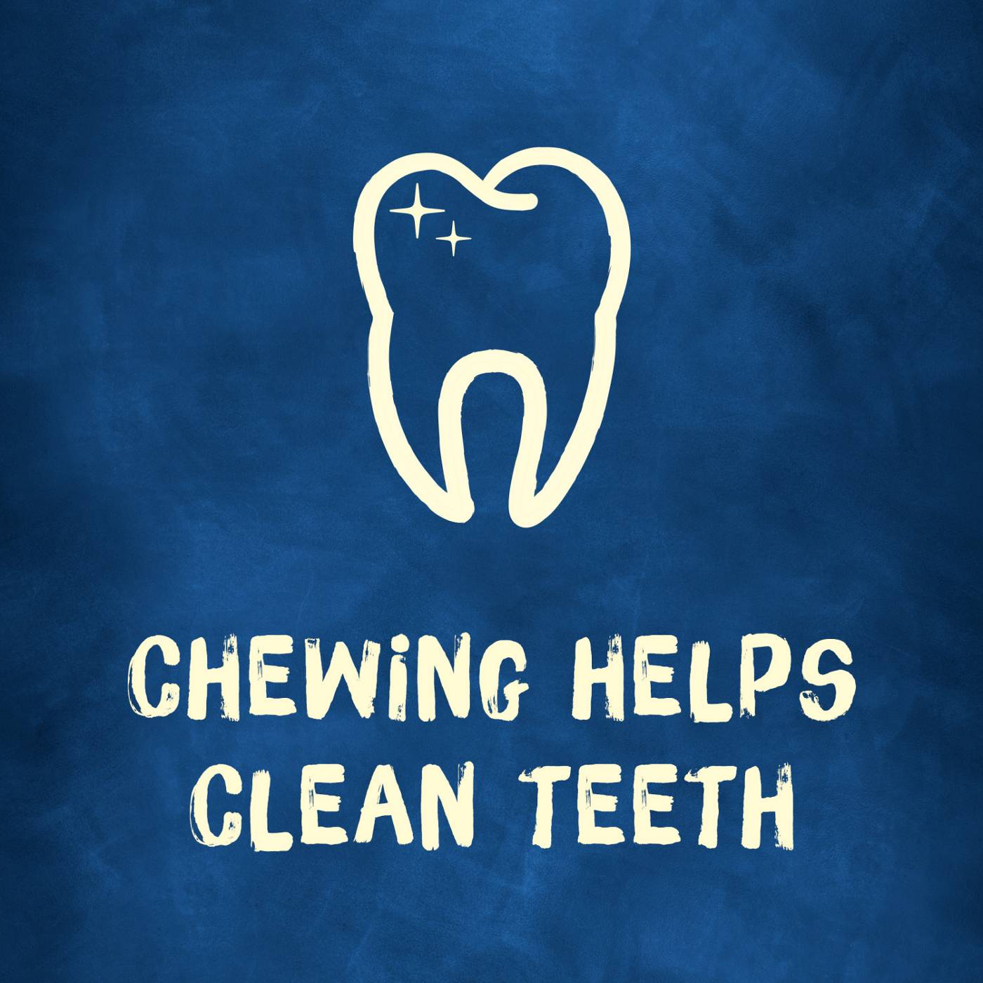 Busy Purina Bone Adult Dog Chew Bone Treats - Original; image 5 of 7