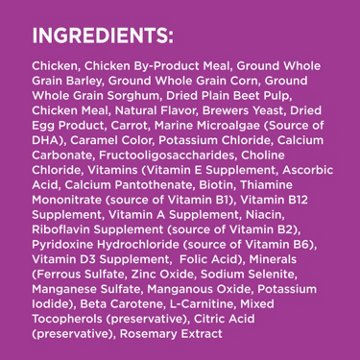 IAMS Proactive Health Healthy Aging Large Breed Dry Senior Dog Food - Real Chicken