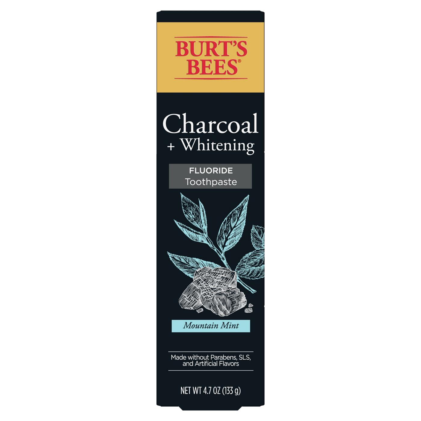 Burt's Bees Charcoal Fluoride Toothpaste - Charcoal Peppermint; image 1 of 7