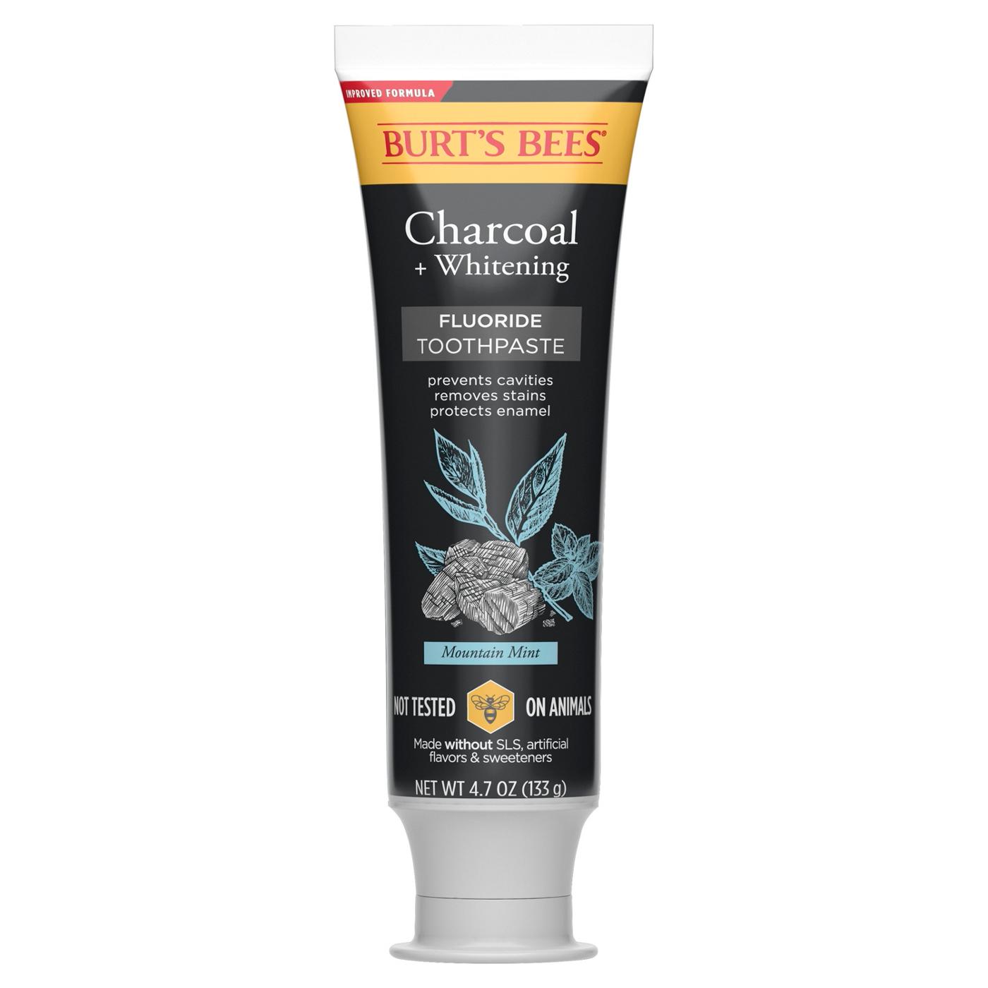 Burt's Bees Charcoal Fluoride Toothpaste - Charcoal Peppermint; image 2 of 9