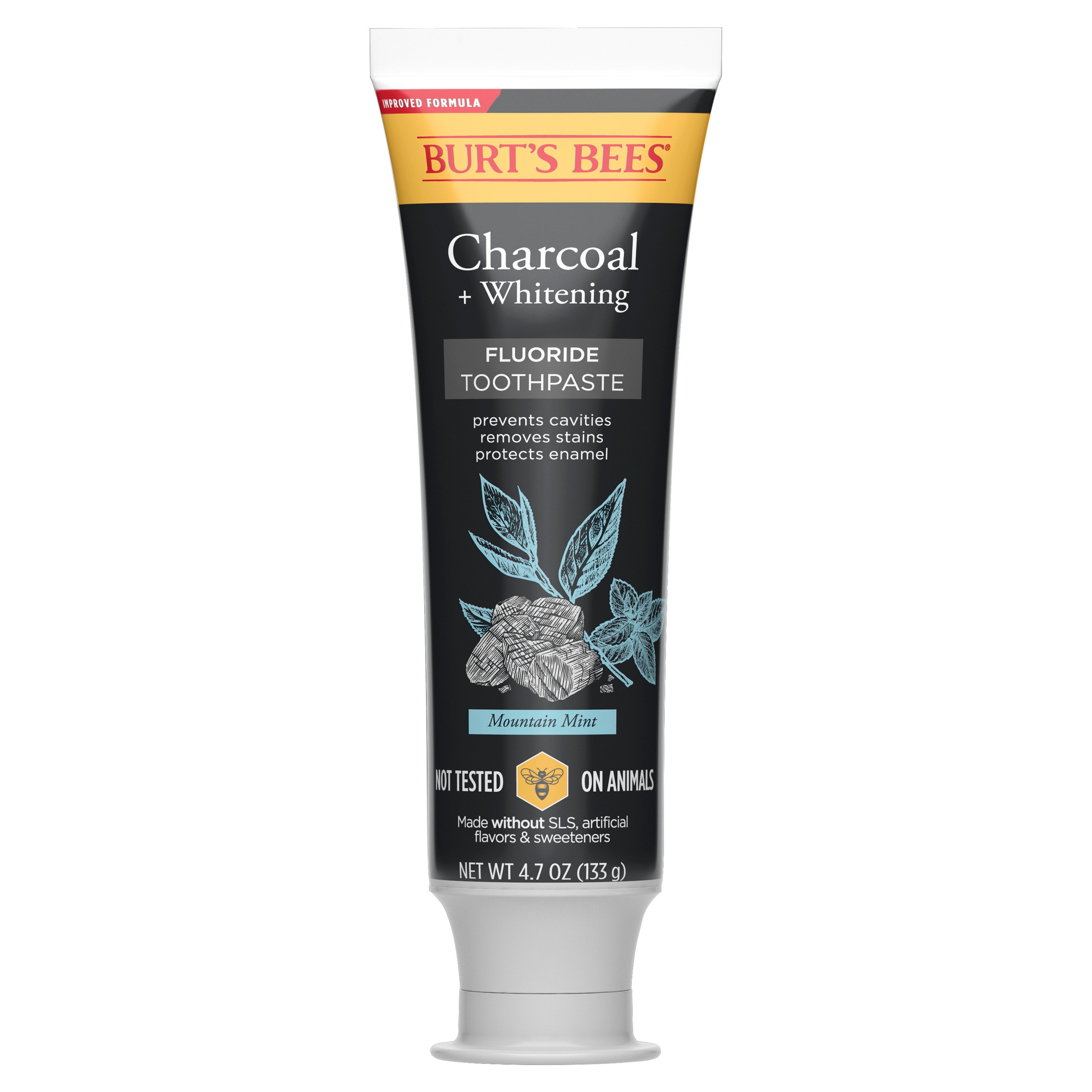 Burt's Bees Charcoal Mountain Paste 4.7oz product package