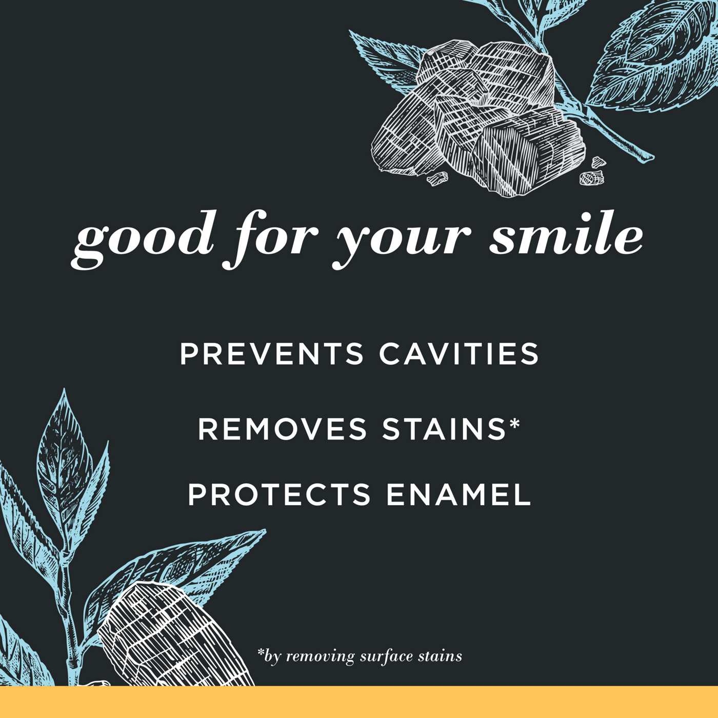 Burt's Bees Charcoal Fluoride Toothpaste - Charcoal Peppermint; image 2 of 7