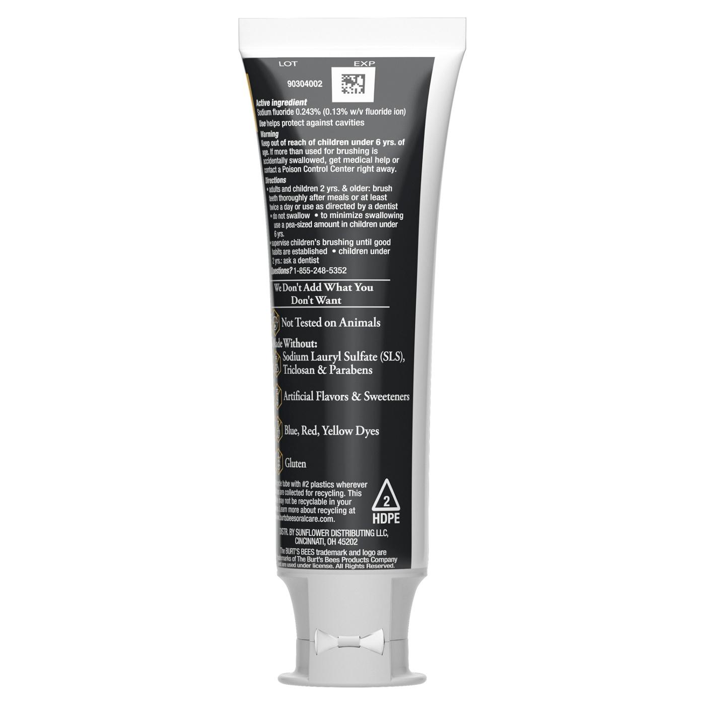 Burt's Bees Charcoal Fluoride Toothpaste - Charcoal Peppermint; image 3 of 7